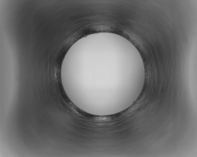 X0000113040281200908271041