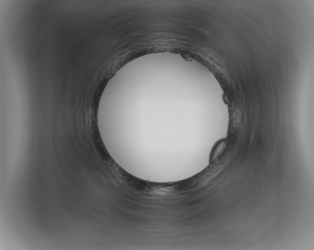 X0000113040283200908271041