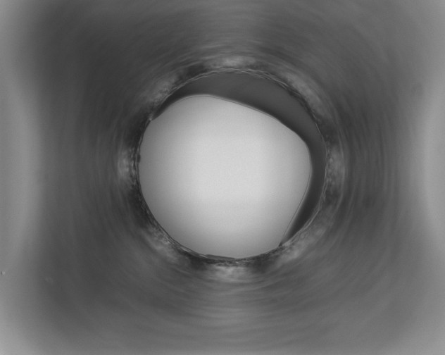 X0000113040284200908271041