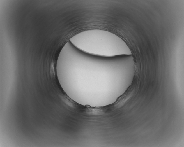 X0000113040286200908271041