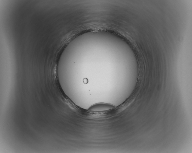X0000113040288200908271041