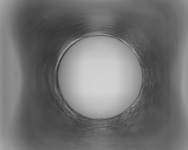 X0000113040289200908271040
