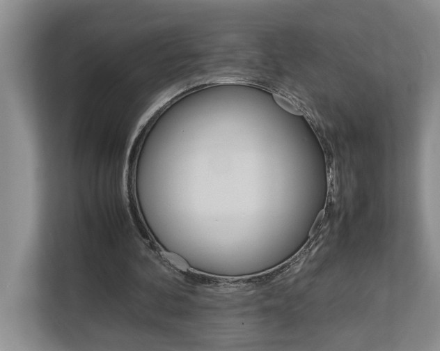 X0000113040292200908271040