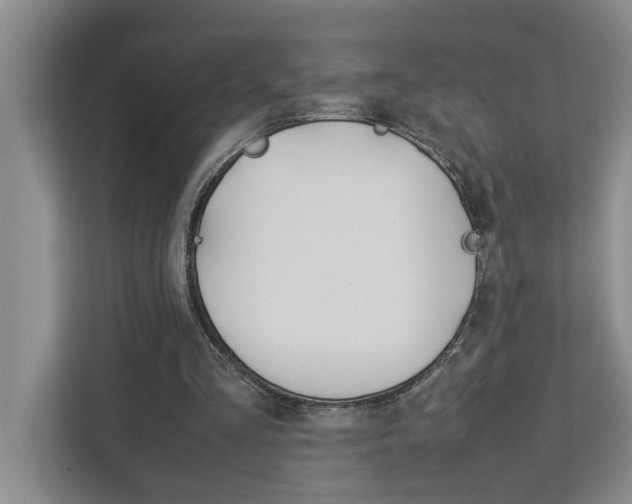 X0000113040293200908271040