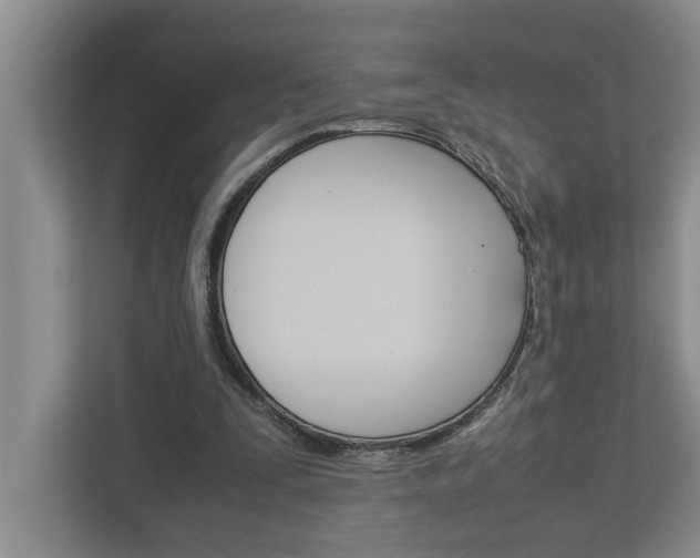 X0000113040295200908271040