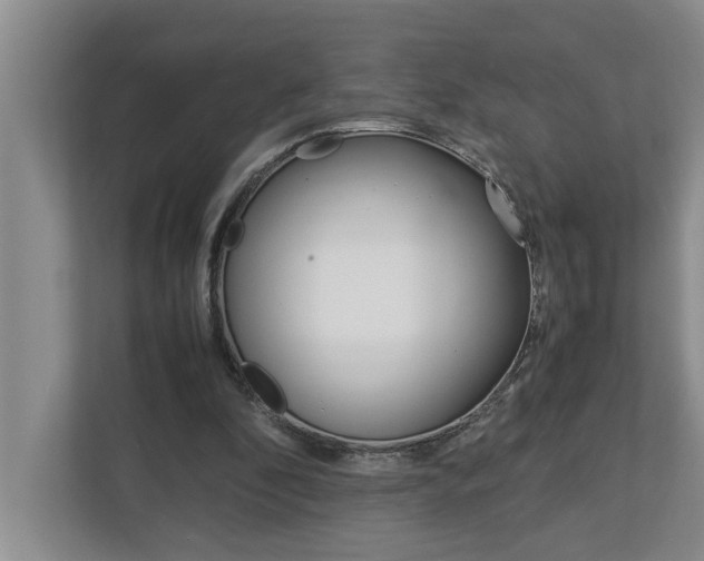 X0000113040296200908271040