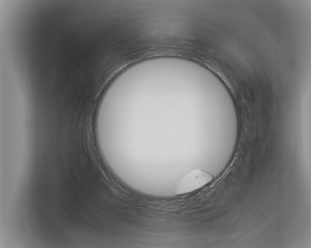 X0000113040297200908271040