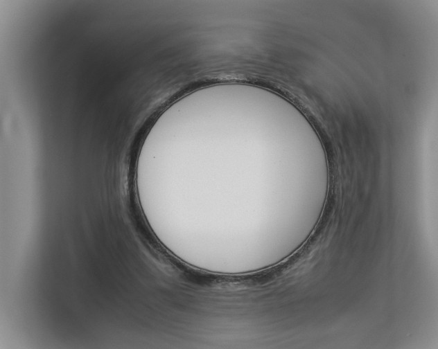 X0000113040299200908271040
