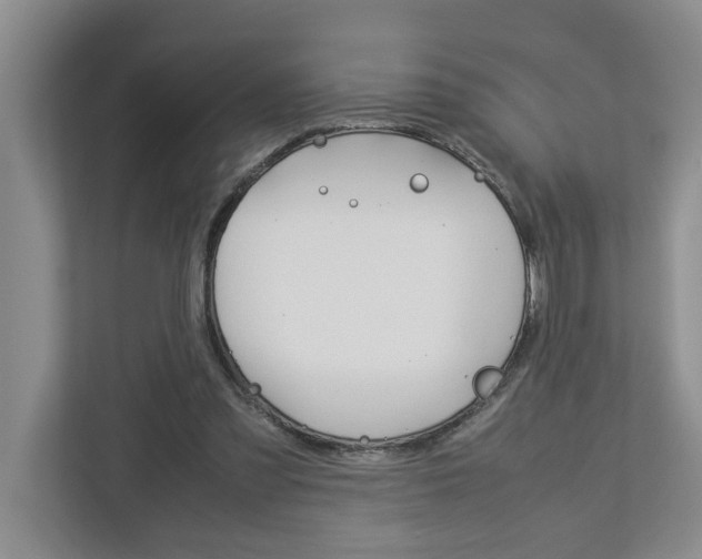 X0000113040301200908271040
