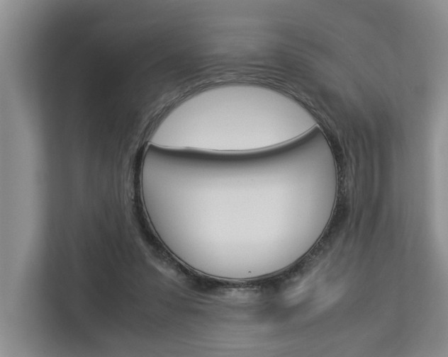 X0000113040303200908271040