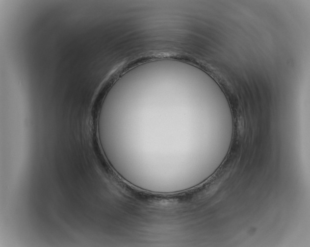 X0000113040304200908271040