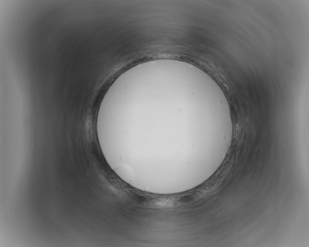 X0000113040306200908271040