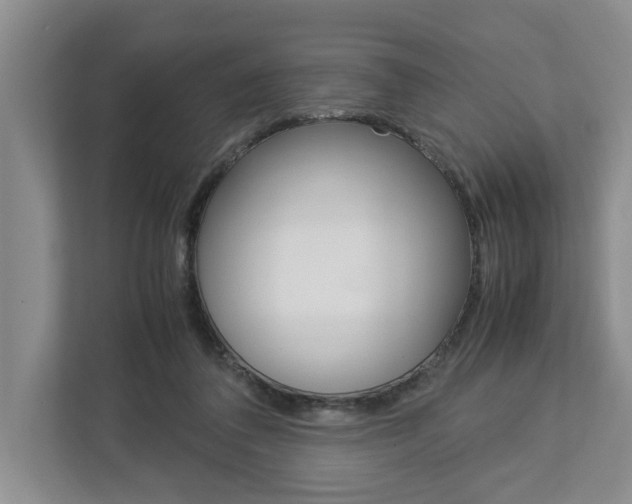X0000113040308200908271040