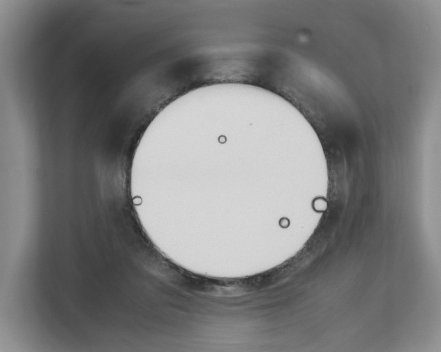 X0000113040309200908271040