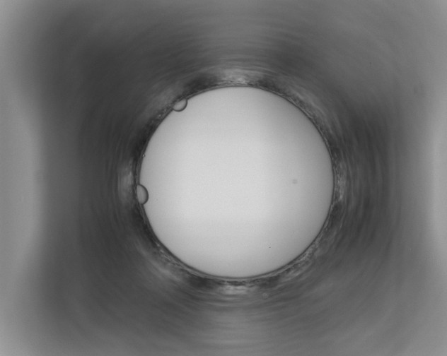 X0000113040314200908271040