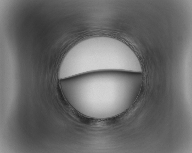 X0000113040325200908271040