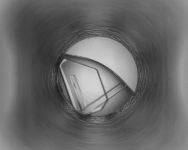 X0000113040328200908271039