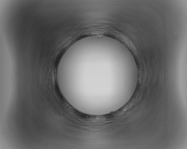 X0000113040329200908271039