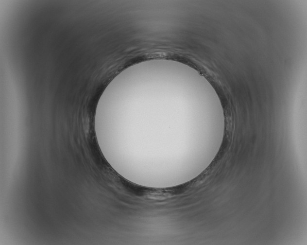 X0000113040331200908271039