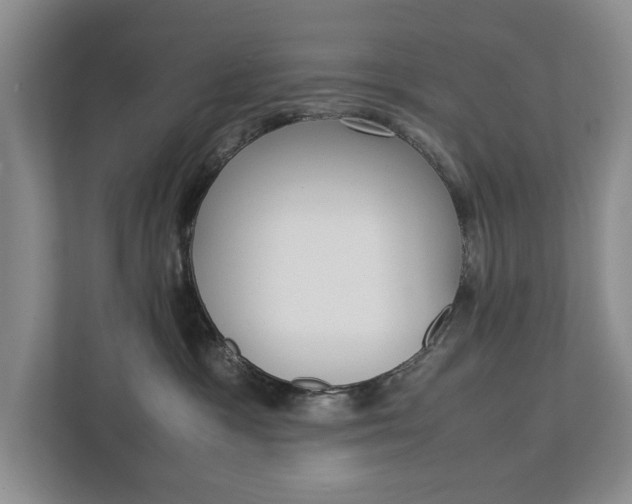 X0000113040333200908271039