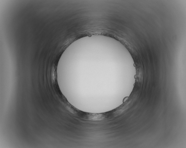 X0000113040334200908271039