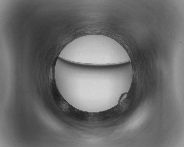 X0000113040335200908271039