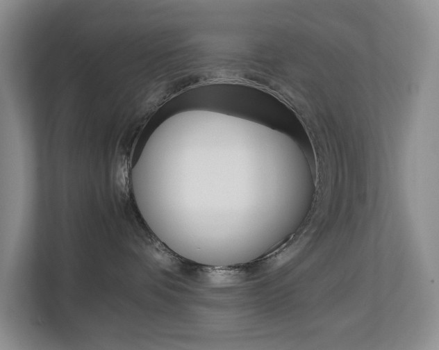 X0000113040336200908271039