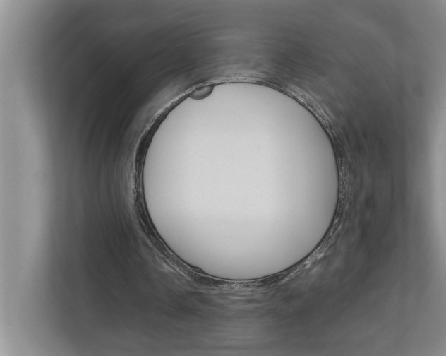 X0000113040338200908271039