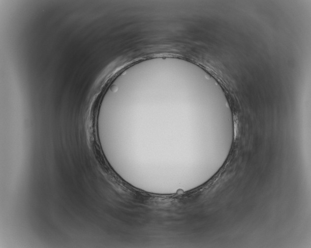 X0000113040339200908271039