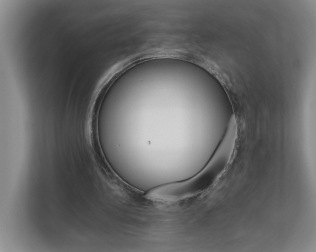 X0000113040340200908271039