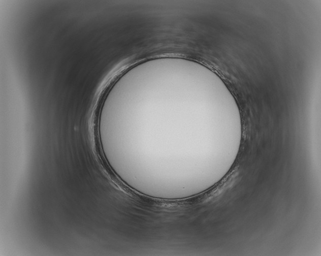 X0000113040341200908271039
