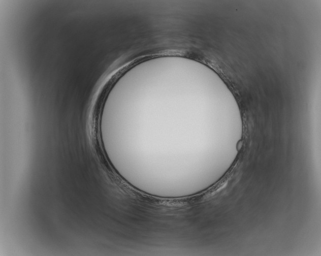X0000113040343200908271039