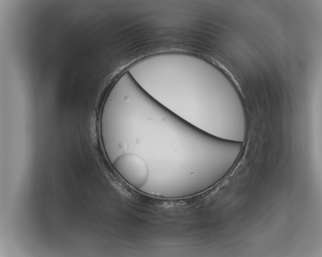 X0000113040345200908271039