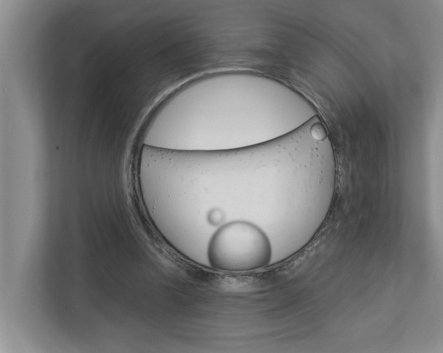 X0000113040346200908271039