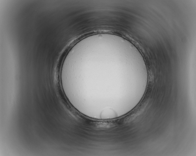 X0000113040347200908271039