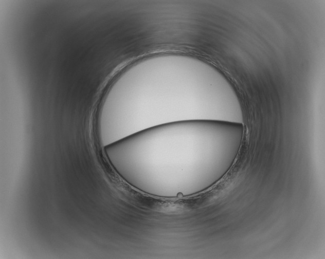 X0000113040348200908271039