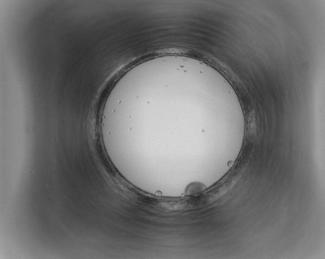 X0000113040351200908271039