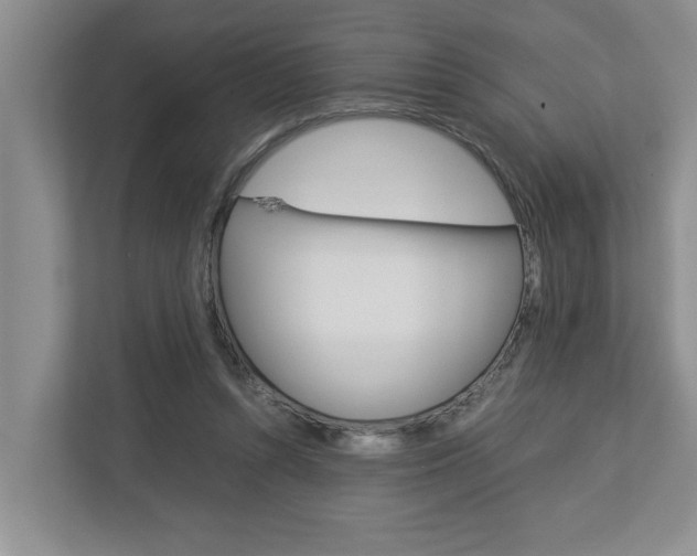 X0000113040352200908271039