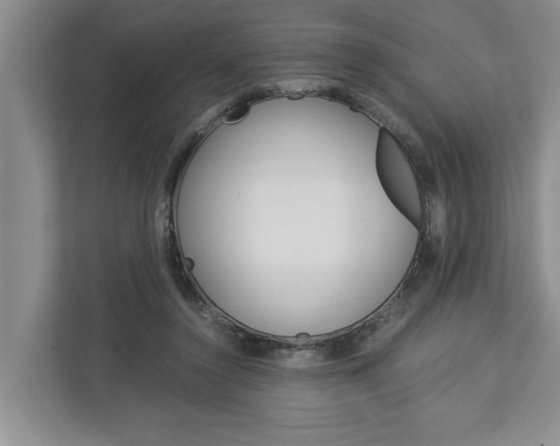 X0000113040356200908271039