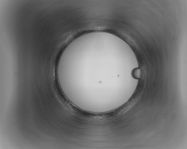 X0000113040358200908271039