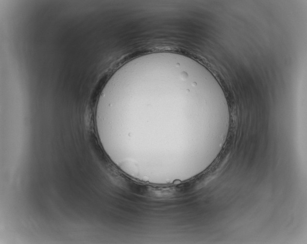 X0000113040359200908271039