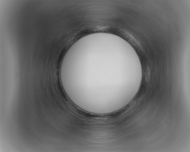 X0000113040366200908271039
