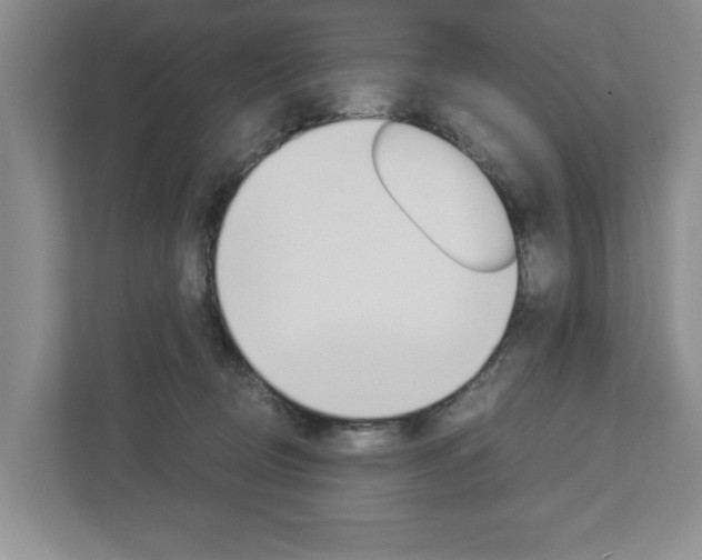 X0000113040370200908271039
