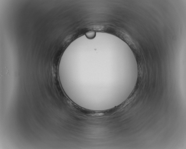 X0000113040374200908271039