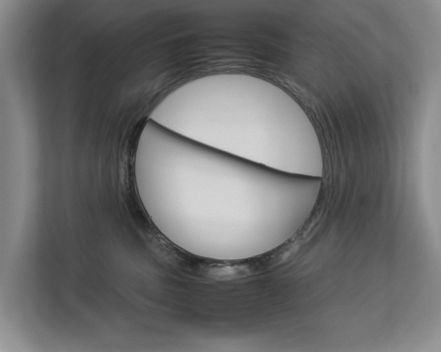 X0000113040379200908271039
