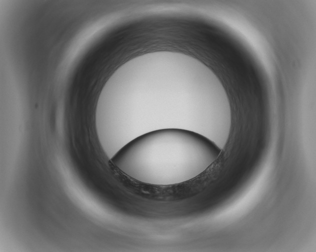 X0000113040382200908271039
