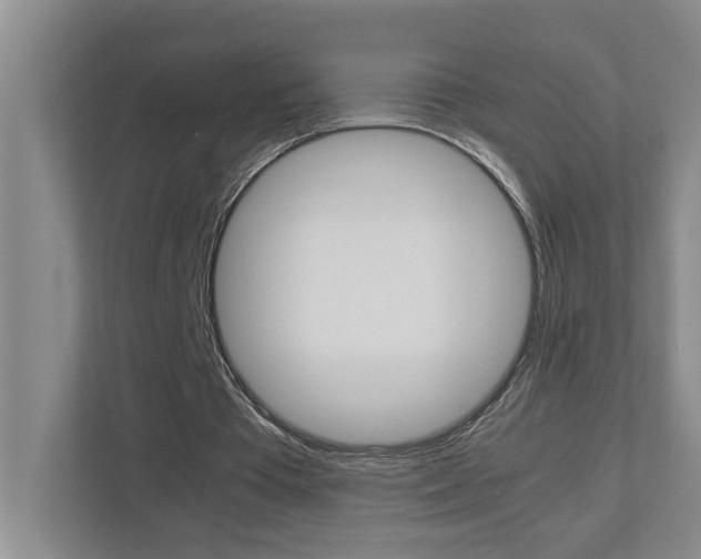 X0000113040385200908271039