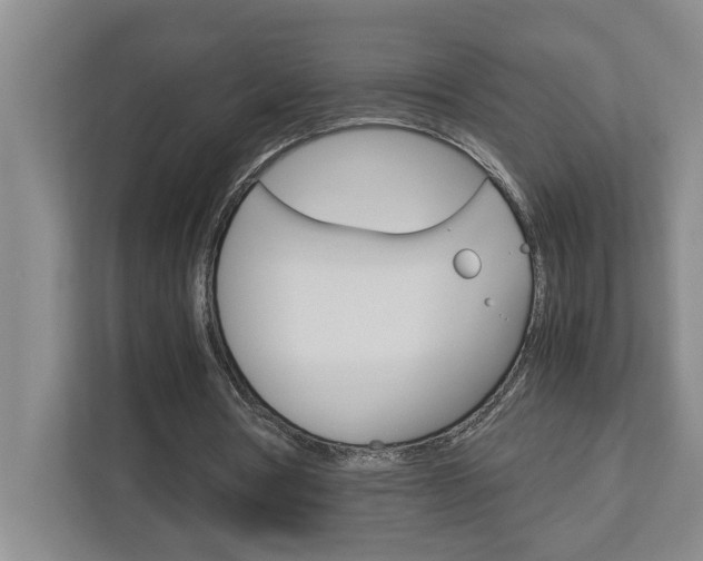 X0000113040386200908271039