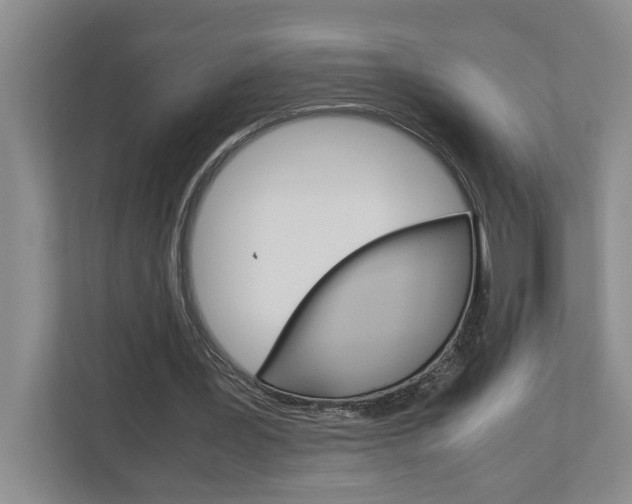 X0000113040387200908271039