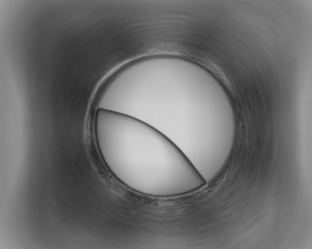 X0000113040388200908271039